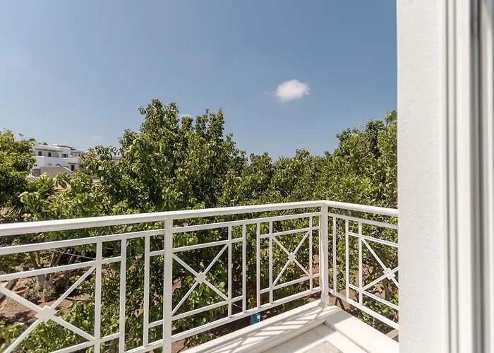 The Aegean Hideaway I Naxos 公寓 *